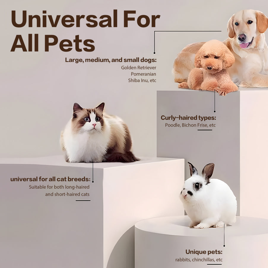 Pawdia Precision Paw Trimmer