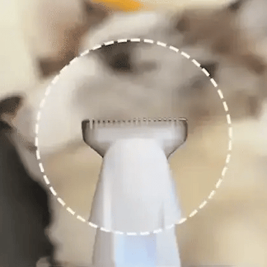Transform Grooming Time into Happy Moments.