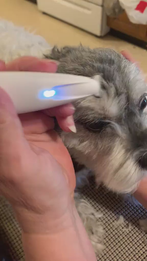 Pawdia Precision Paw Trimmer video
