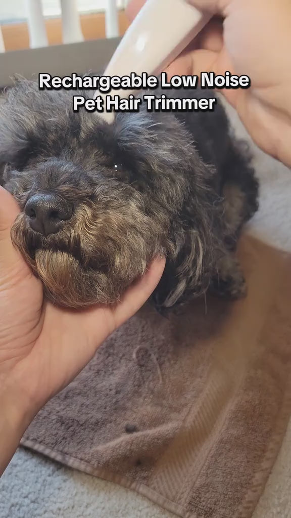 Pawdia Precision Paw Trimmer video