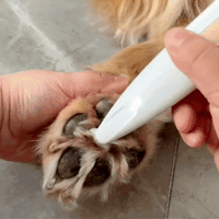 Pawdia Precision Paw Trimmer